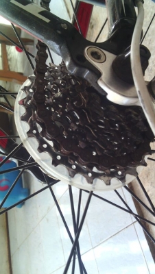 เสือหมอบTrek 1.2 Side54 เสือหมอบTrek 1.2 Side54