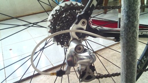 เสือหมอบTrek 1.2 Side54 เสือหมอบTrek 1.2 Side54