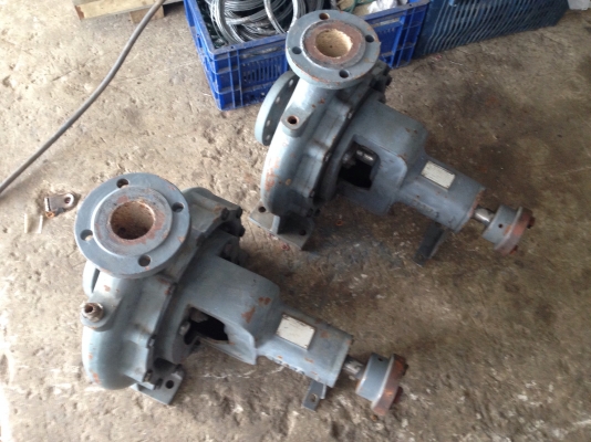 ขายหัวปั้มน้ำ Ebara ใบพัดทองเหลือง ขนาดเข้า 3 นิ้ว ออก 2.5 นิ้ว สภาพดี หมุนนิ่ม พร้อมใช้งานมี 2 ตัวครับ (เหลือ 1 ตัวแล้วครับ)