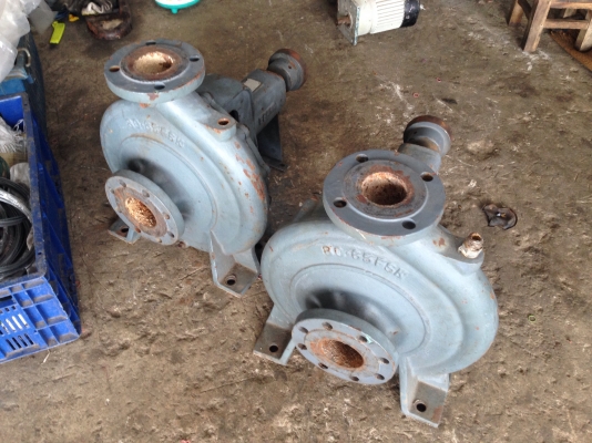 ขายหัวปั้มน้ำ Ebara ใบพัดทองเหลือง ขนาดเข้า 3 นิ้ว ออก 2.5 นิ้ว สภาพดี หมุนนิ่ม พร้อมใช้งานมี 2 ตัวครับ (เหลือ 1 ตัวแล้วครับ)