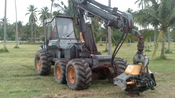 ขายรถโค่น,ตัด,คีบไม้ ขายรถโค่น,ตัด,คีบไม้