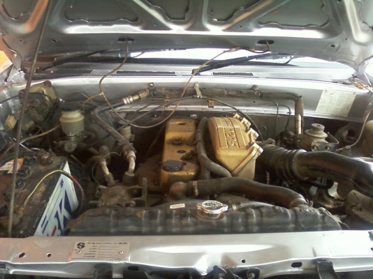 ขาบมังกรทอง แคป พร้อมใช้ ขาบมังกรทอง แคป พร้อมใช้