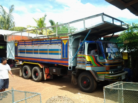 ขาย10ล้อจำโบ้คัชซีให่ญช่วงล่างให่ญสวยๆพร้อมใช้ดั้มมิเนียม