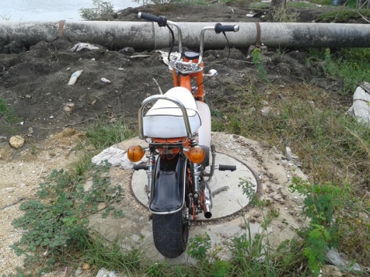 ขายชาลี สีส้มดำ มี เล่มเครื่อง