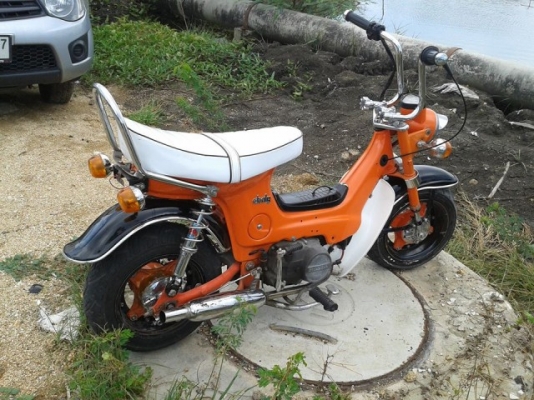 ขายชาลี สีส้มดำ มี เล่มเครื่อง