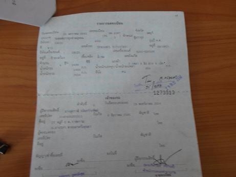 ขายดราก้อนตัดสดราคาถูก ขายดราก้อนตัดสดราคาถูก