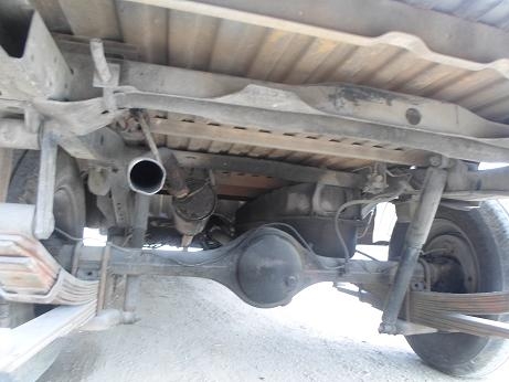 ขายดราก้อนตัดสดราคาถูก ขายดราก้อนตัดสดราคาถูก