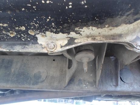 ขายดราก้อนตัดสดราคาถูก ขายดราก้อนตัดสดราคาถูก