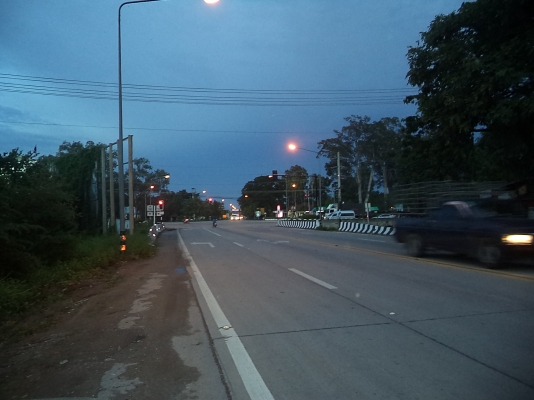 ขายที่ดินสวยมากติดถนนดำชัยนาท-วัดสิงห์