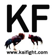 อยากขายไก่ชน คลิก www.kaifight.com  ขายฟรี คนรอซื้อเพียบ