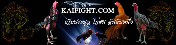 อยากขายไก่ชน คลิก www.kaifight.com  ขายฟรี คนรอซื้อเพียบ