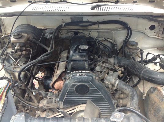 มาอีกแล้วครับคานแข็ง65แท้ มาอีกแล้วครับคานแข็ง65แท้