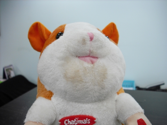 ตุ๊กตาเลียนเสียง