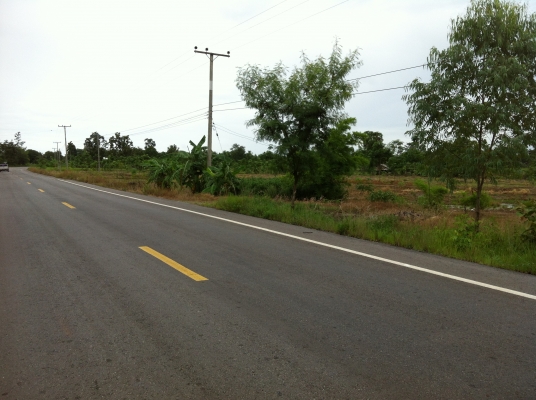 ต้องการขายสวนยางพารา ต้องการขายสวนยางพารา