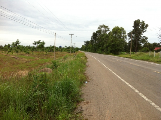 ต้องการขายสวนยางพารา ต้องการขายสวนยางพารา