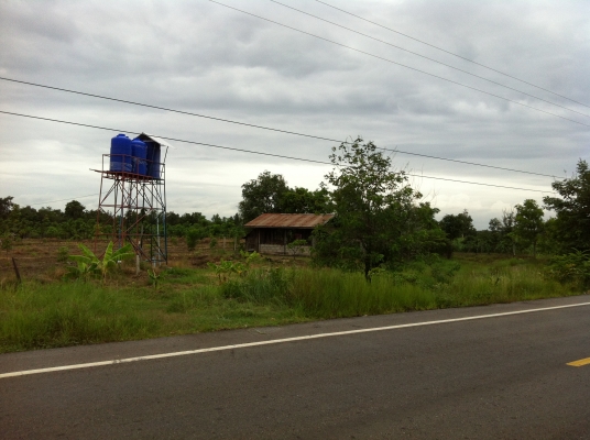 ต้องการขายสวนยางพารา ต้องการขายสวนยางพารา