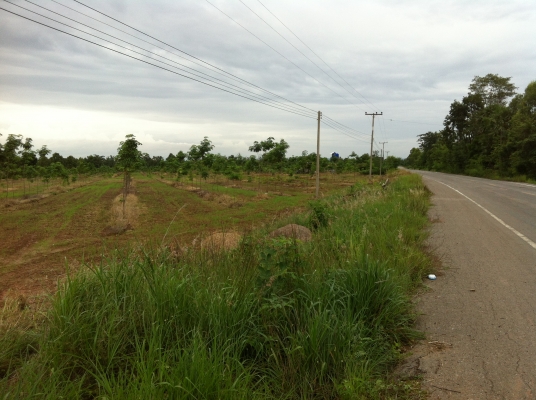 ต้องการขายที่ดิน