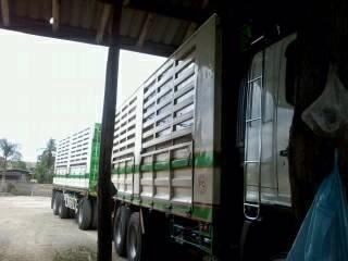 ขายรถสิบล้อ HIno MEGA FM 344แรง ปี 53 พ่วงแม่ลูก  คอกเกษตร  ไม่ดั้ม รถพร้อมใช้งาน