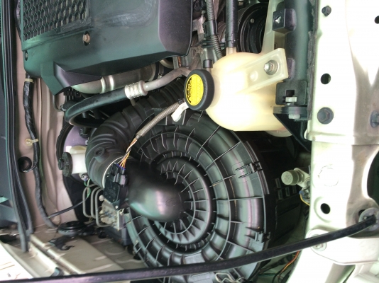 ขายด่วน vego prerunner ขายด่วน vego prerunner