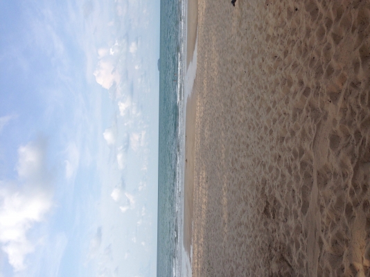 ขายสิบล้อดั้มพ์ คอกเกษตร ขายสิบล้อดั้มพ์ คอกเกษตร