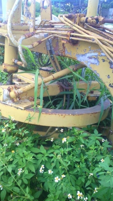 รถเกรดขนาดจิ๋วยี่ห้อ GALLION รถใช้งานดี สภาพเก่าเก็บ ราคาต่อรองได้