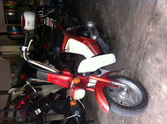 ขายชาลีออโต11000