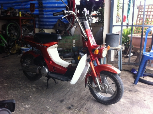 ขายชาลีออโต11000