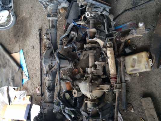 ขายช่วงล่างหน้าหลังไทเกอร์โฟวิล