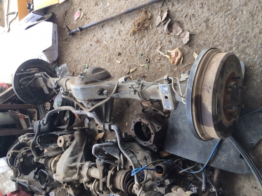 ขายช่วงล่างหน้าหลังไทเกอร์โฟวิล