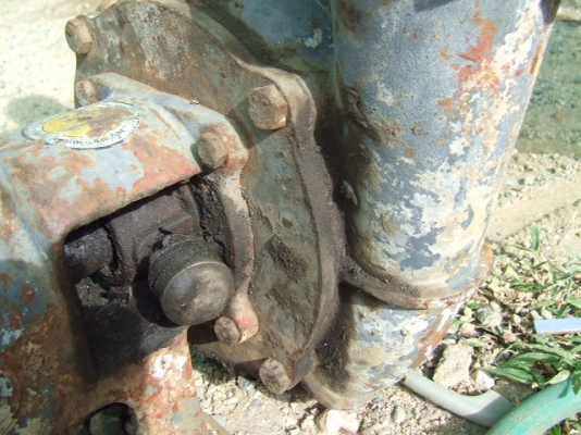 -ขายปั๊ม3นิ้ว ตราพญานาค -ขายปั๊ม3นิ้ว ตราพญานาค