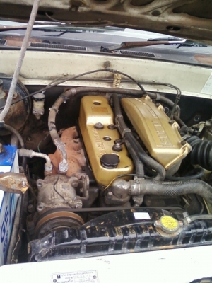 ขาย ISUZU มังกรทอง ปี 94 แคป ราคา 130000 บาท ขาย ISUZU มังกรทอง ปี 94 แคป ราคา 130000 บาท