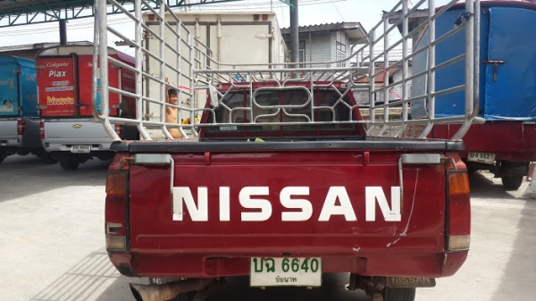 ขาย นิสัน รถบรรทุกของ