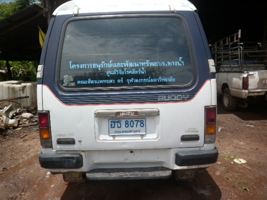 ขาย isuzu buddy