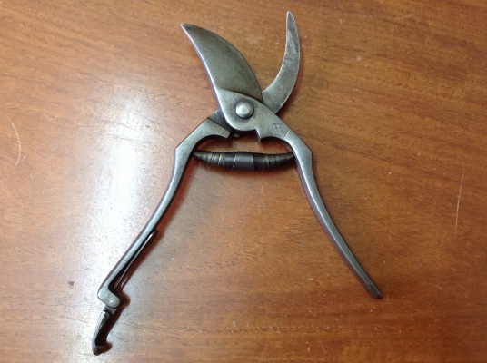 ขายกรรไกรตัดกิ่ง VINTAGE GERMANY