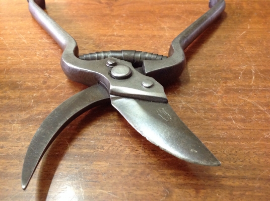 ขายกรรไกรตัดกิ่ง VINTAGE H.F. MICHELL งานเก่าเยอรมัน