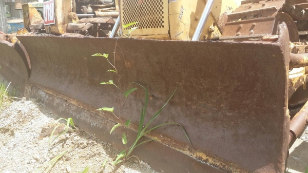 รถแทรคเตอร์ตีนตะขาบ CAT D4D รถสวย