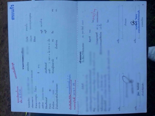 ขายสิบล้อหัวลากพร้อมหาง MITSUBISHI เครื่อง 6D16 turbo 220 แรง หาง 2 เพลา 12 เมตร ขายสิบล้อหัวลากพร้อมหาง MITSUBISHI เครื่อง 6D16 turbo 220 แรง หาง 2 เพลา 12 เมตร