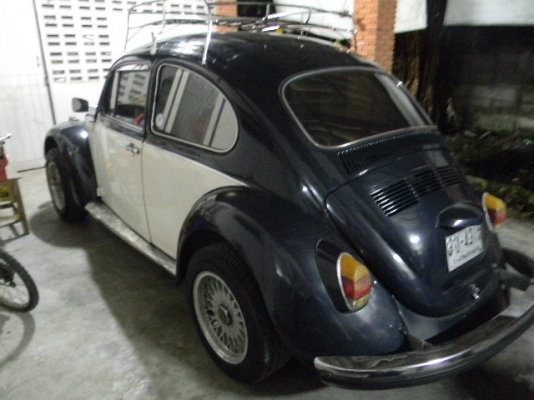 ขายเต่า 69 147000