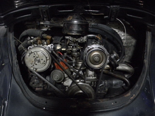 ขายเต่า 69 147000