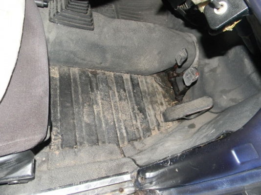 ขายเต่า 69 147000