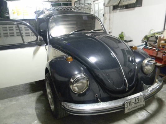 ขายเต่า 69 147000