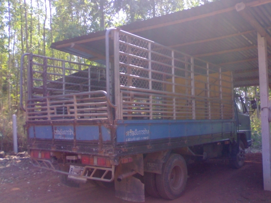 ขายดาวน์ NPR115รถห้างแท้ๆๆ เกียร์สั้น คัทชีสวยๆๆ ขายดาวน์ NPR115รถห้างแท้ๆๆ เกียร์สั้น คัทชีสวยๆๆ