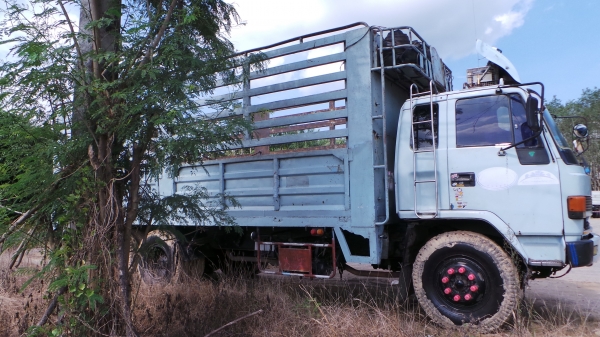 ISUZU FVM หัวเดิม เครื่องเดิม คัซซีสวยค่ะ ISUZU FVM หัวเดิม เครื่องเดิม คัซซีสวยค่ะ