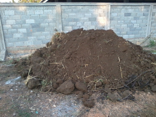 ทีมงานละอ่อนลื้อ ขาย และให้เช่า  รถดั้ม แบคโฮ รถไถ