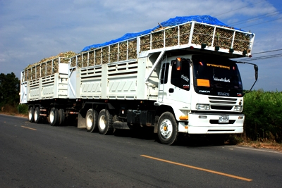 ต้องการหารถร่วมบรรทุกอ้อยท่อน จังหวัด กาฬสินธุ์ ร้อยเอ็ด