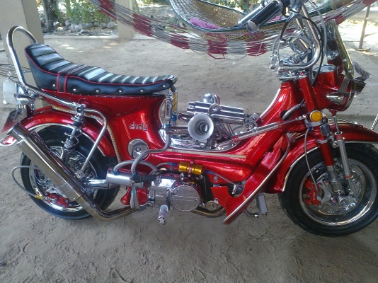 ขายชาลีพร้อมประกวด