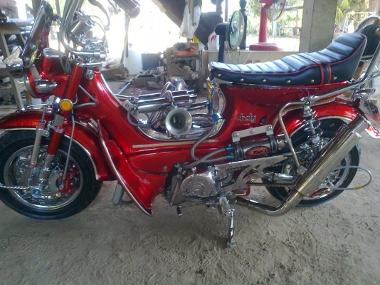 ขายชาลีพร้อมประกวด