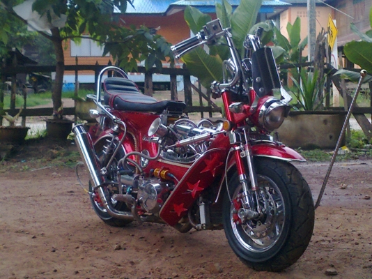 ขายชาลีพร้อมประกวด