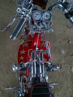 ขายชาลีพร้อมประกวด