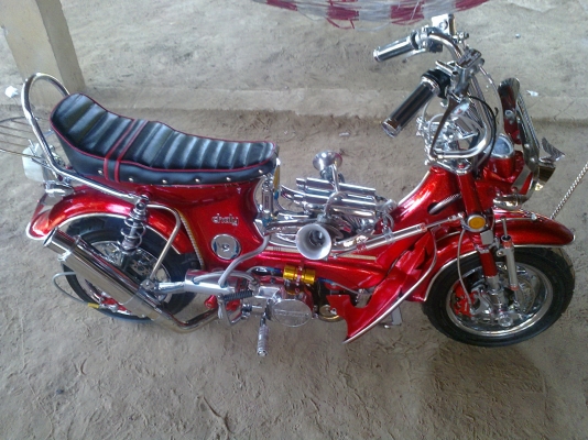 ขายชาลีพร้อมประกวด